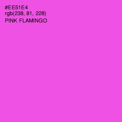 #EE51E4 - Pink Flamingo Color Image