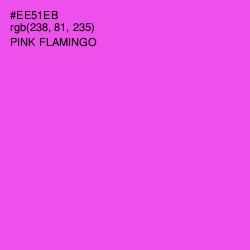 #EE51EB - Pink Flamingo Color Image