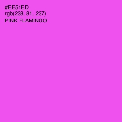 #EE51ED - Pink Flamingo Color Image