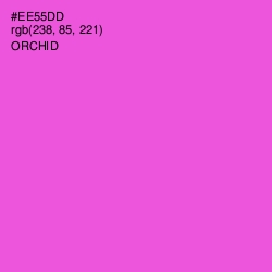 #EE55DD - Orchid Color Image