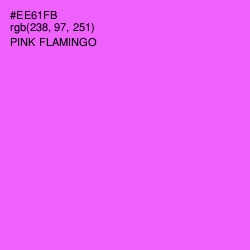 #EE61FB - Pink Flamingo Color Image