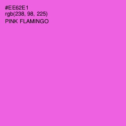 #EE62E1 - Pink Flamingo Color Image