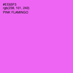 #EE65F3 - Pink Flamingo Color Image