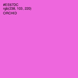 #EE67DC - Orchid Color Image