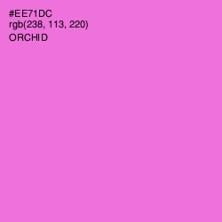 #EE71DC - Orchid Color Image