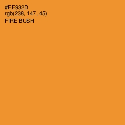 #EE932D - Fire Bush Color Image