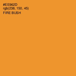 #EE962D - Fire Bush Color Image