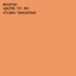 #EE9760 - Atomic Tangerine Color Image