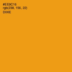 #EE9C16 - Dixie Color Image