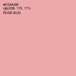 #EEAAAB - Rose Bud Color Image