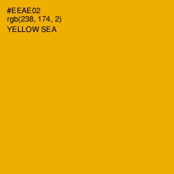 #EEAE02 - Yellow Sea Color Image