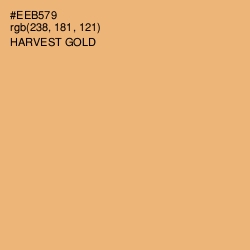 #EEB579 - Harvest Gold Color Image