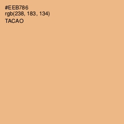 #EEB786 - Tacao Color Image