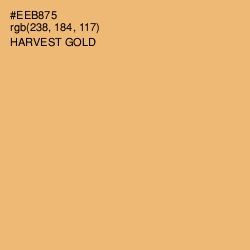 #EEB875 - Harvest Gold Color Image