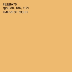 #EEBA70 - Harvest Gold Color Image