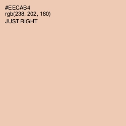 #EECAB4 - Just Right Color Image