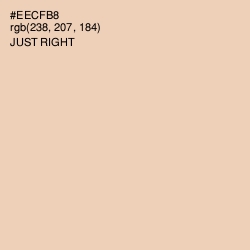 #EECFB8 - Just Right Color Image