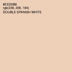 #EED0B8 - Double Spanish White Color Image