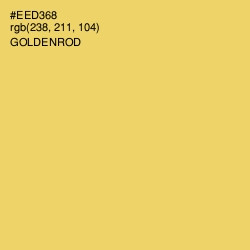 #EED368 - Goldenrod Color Image