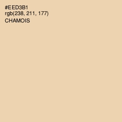 #EED3B1 - Chamois Color Image
