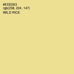 #EEE093 - Wild Rice Color Image