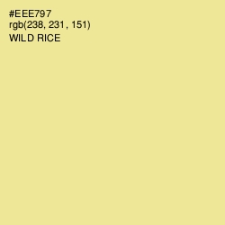 #EEE797 - Wild Rice Color Image