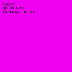 #EF01F1 - Magenta / Fuchsia Color Image