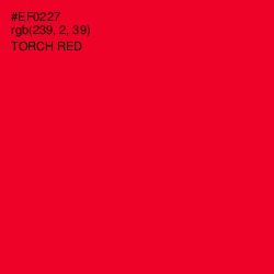 #EF0227 - Torch Red Color Image