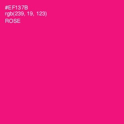 #EF137B - Rose Color Image