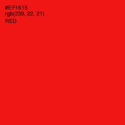 #EF1615 - Red Color Image