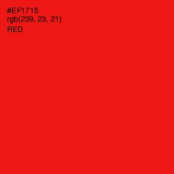 #EF1715 - Red Color Image