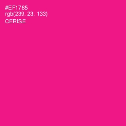 #EF1785 - Cerise Color Image