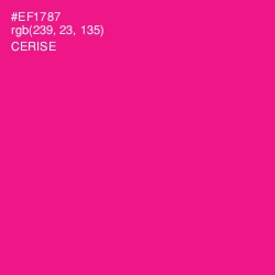 #EF1787 - Cerise Color Image