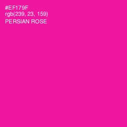 #EF179F - Persian Rose Color Image