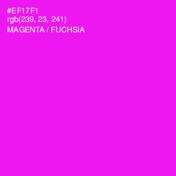 #EF17F1 - Magenta / Fuchsia Color Image