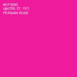 #EF1B9D - Persian Rose Color Image