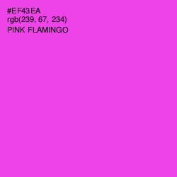 #EF43EA - Pink Flamingo Color Image