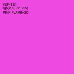 #EF48E1 - Pink Flamingo Color Image