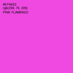 #EF49E2 - Pink Flamingo Color Image