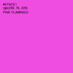 #EF4CE1 - Pink Flamingo Color Image