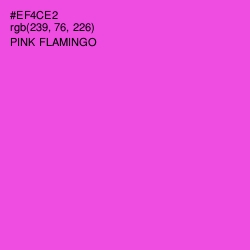 #EF4CE2 - Pink Flamingo Color Image