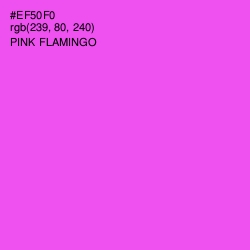 #EF50F0 - Pink Flamingo Color Image