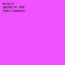 #EF51FF - Pink Flamingo Color Image