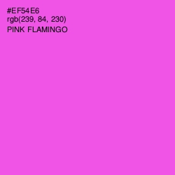 #EF54E6 - Pink Flamingo Color Image