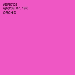 #EF57C5 - Orchid Color Image