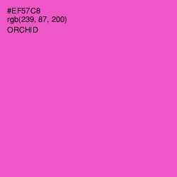 #EF57C8 - Orchid Color Image