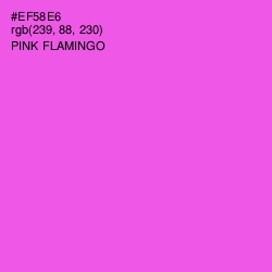 #EF58E6 - Pink Flamingo Color Image