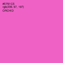 #EF61C5 - Orchid Color Image