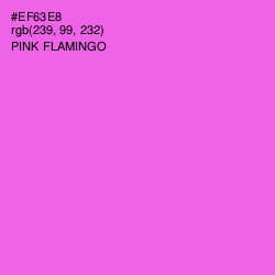 #EF63E8 - Pink Flamingo Color Image