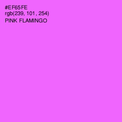 #EF65FE - Pink Flamingo Color Image